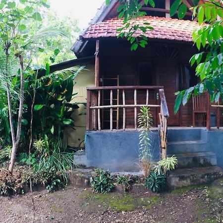 厄科阿拉姆努沙洛奇山林小屋 Ped 外观 照片