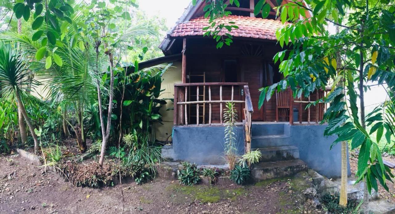 厄科阿拉姆努沙洛奇山林小屋 Ped 外观 照片